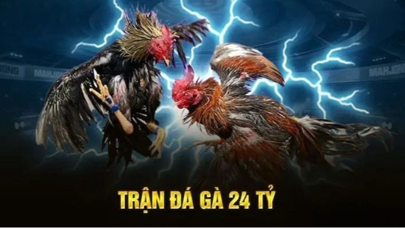 Thông tin sơ lược trận so tài chiến kê 24 tỷ Thông tin sơ lược trận so tài chiến kê 24 tỷ